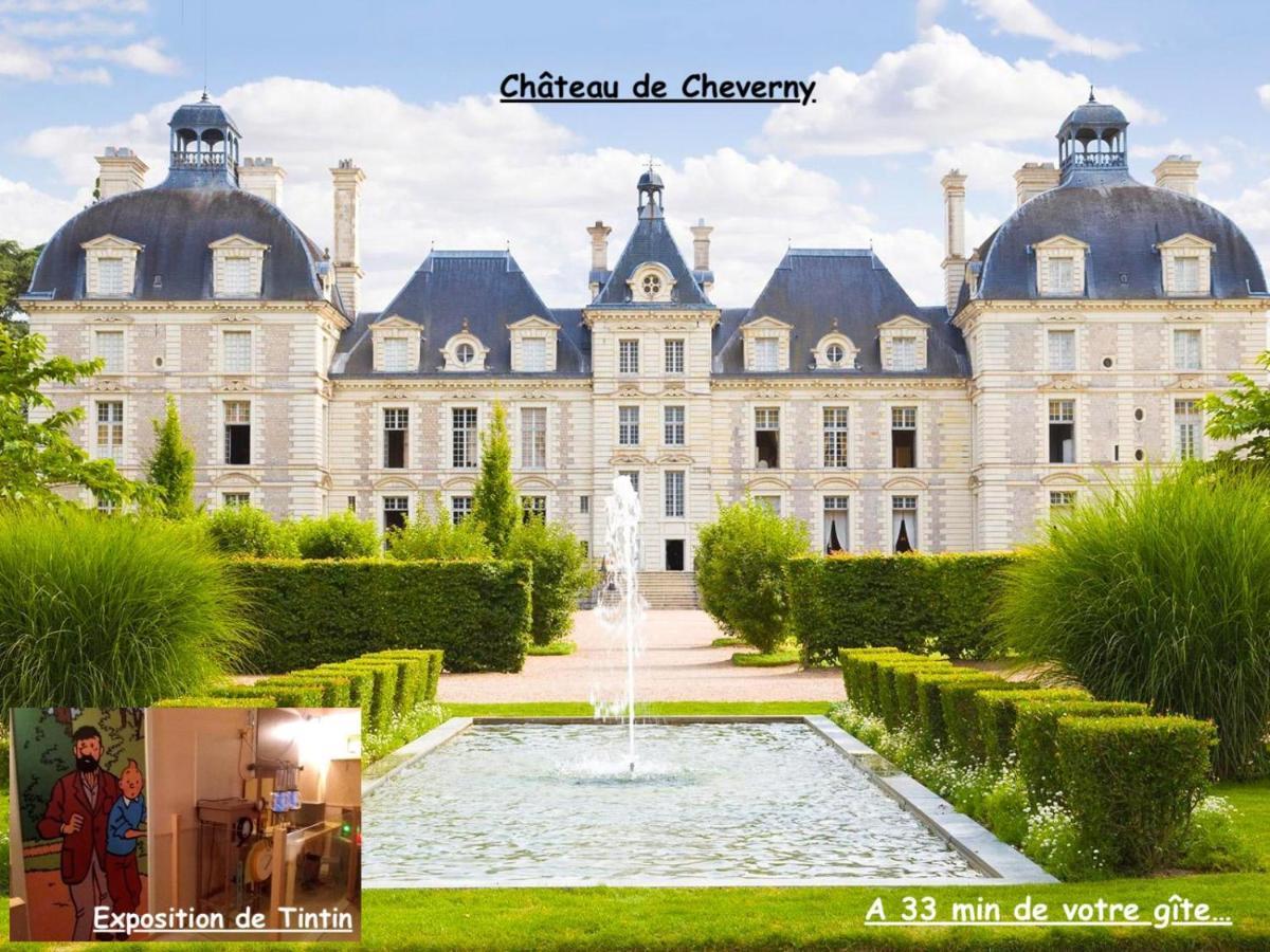 La Porte Aux Dames Romorantin-Lanthenay Екстер'єр фото